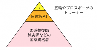 スポーツトレーナーのキャリア・ピラミッドの一例